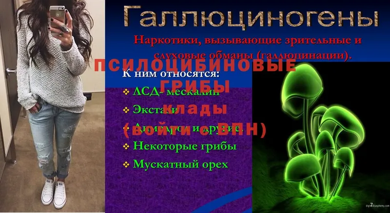 Галлюциногенные грибы Cubensis  Тюмень 